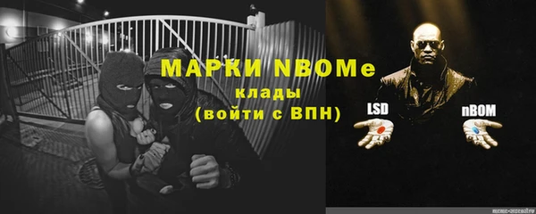тгк Пересвет