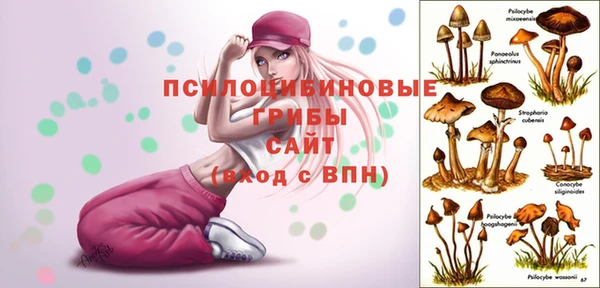 прущая мука Пестово