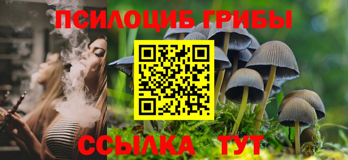 Отрадное  Псилоцибиновые грибы Cubensis  наркотики  Вход с VPN 