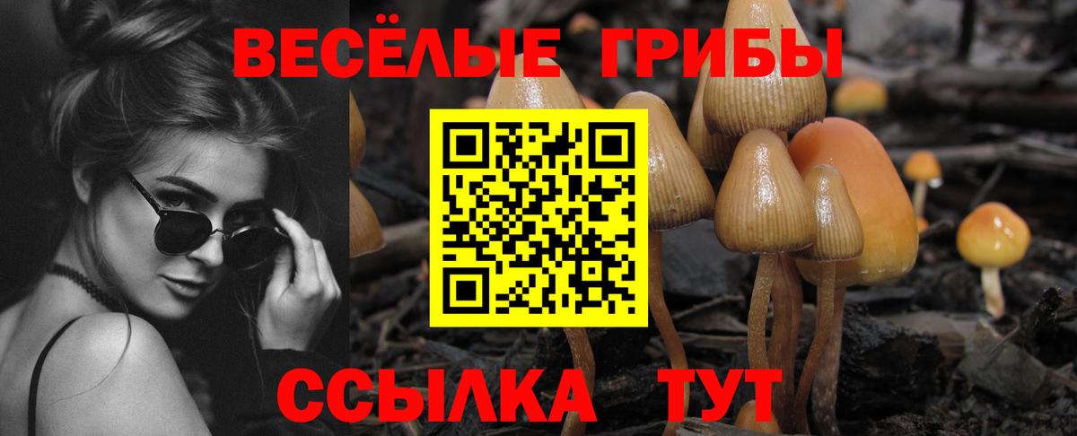 Галлюциногенные грибы ЛСД Отрадное