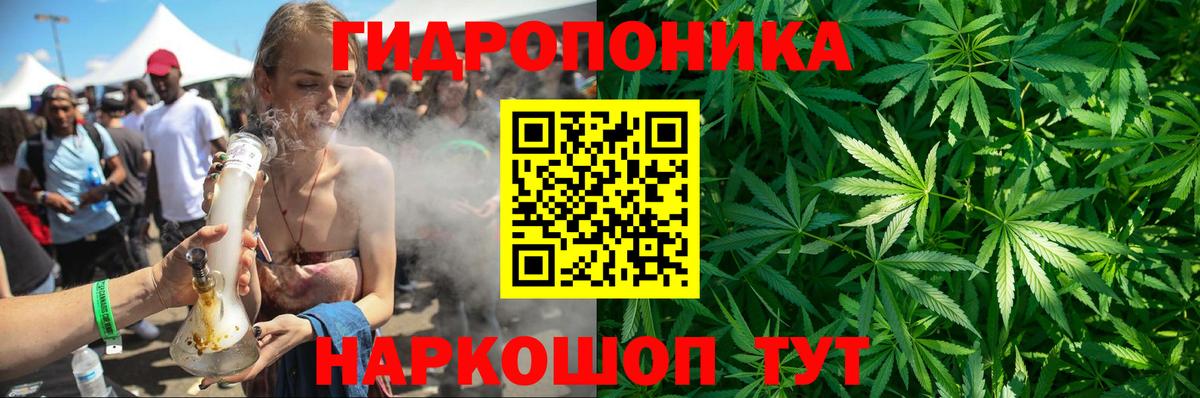 Канабис планчик  Шишки марихуана SATIVA & INDICA  Вход с VPN  Отрадное  Канабис THC 21% 